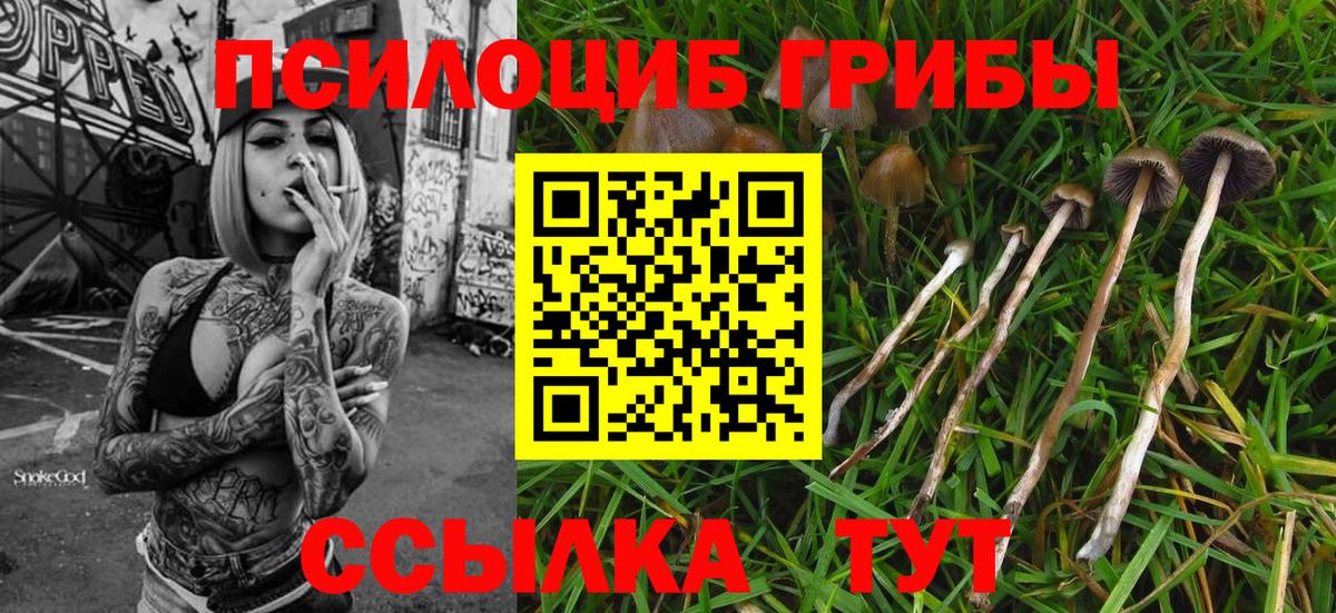 Псилоцибиновые грибы прущие грибы  Вход с VPN  Новокузнецк 