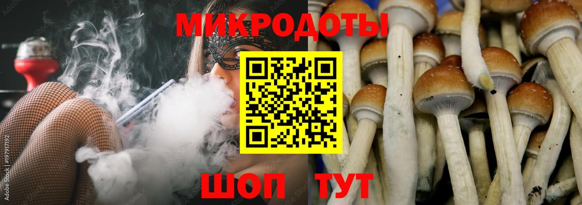 Галлюциногенные грибы GOLDEN TEACHER Новокузнецк